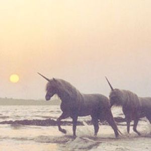 Hi :) Bundle Likes to Get A Special Offer